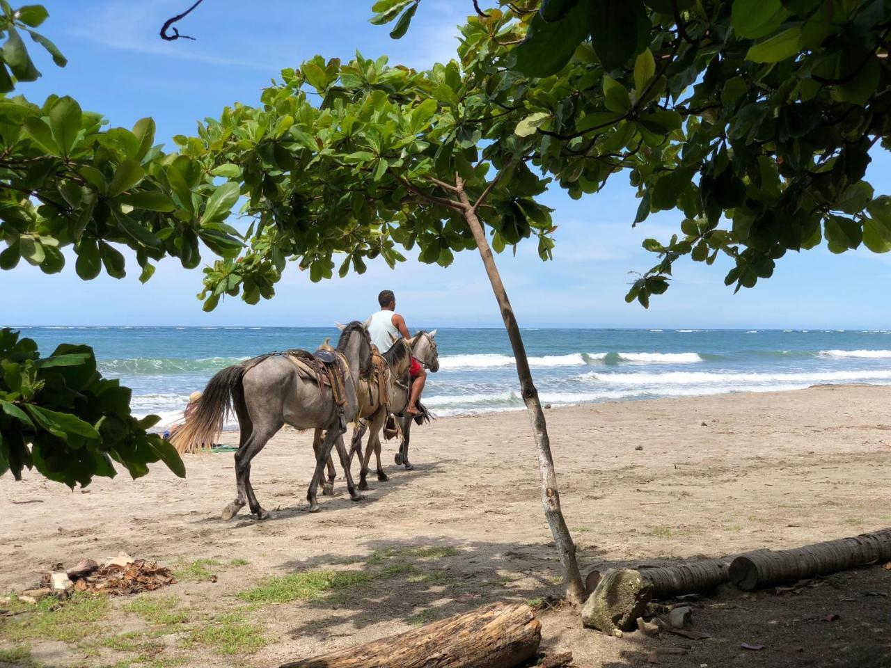 Macao Beach Samara Luaran gambar
