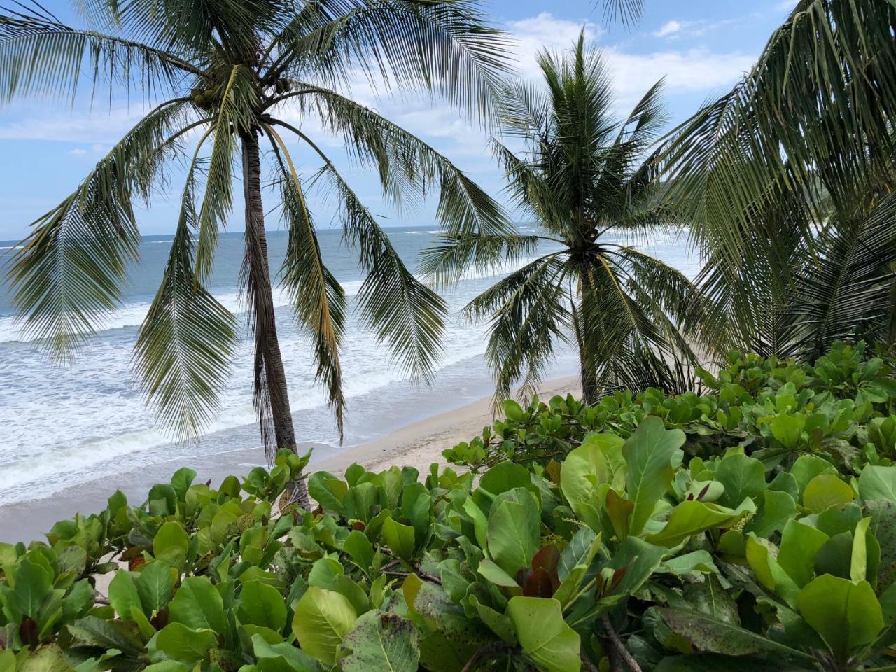 Macao Beach Samara Luaran gambar